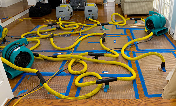 Professional Crawl Space Water Removal technician working in Little Falls, NJ